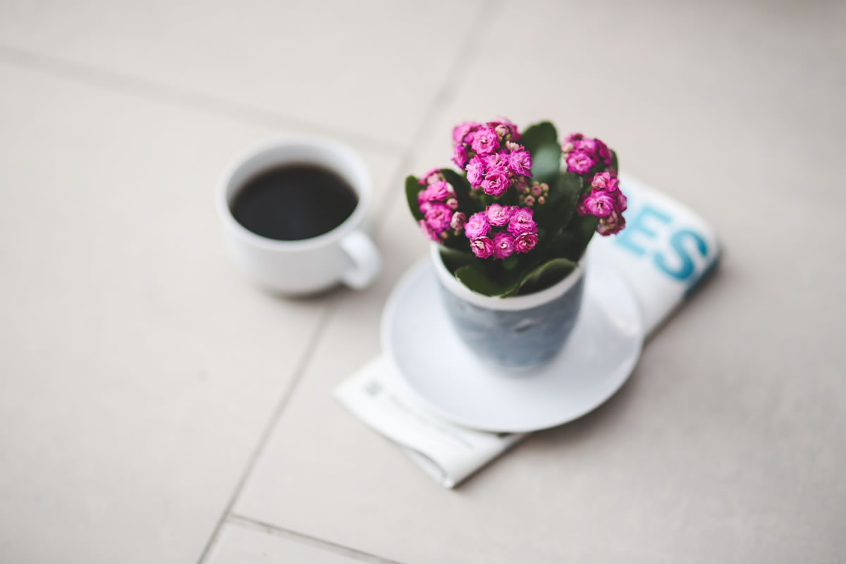 Decoração com flores naturais